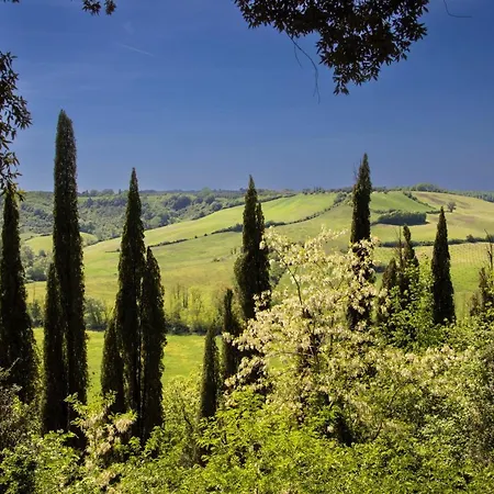Отель Borgo Laticastelli
